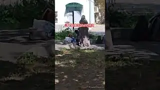 Этюды Клептоса