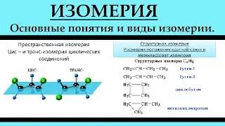 Органическая химия. Изомерия. ЕГЭ.