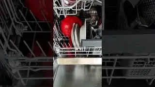 Should dirty dishes be put in the dishwasher? 