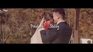David & Sally｜2019.10.26 結婚紀錄｜側拍花絮