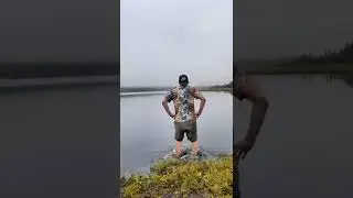 Погрузился в болото на трясине