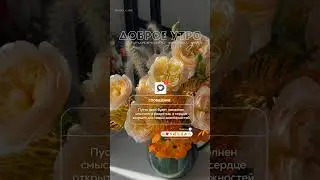 Новые возможности