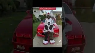 #fur