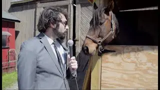 The Horse | Short Film