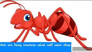 Ant Fact Point.