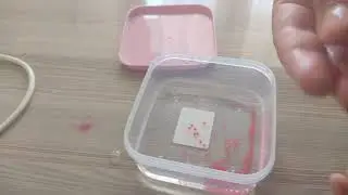 Şu Maymuncuğu Yaptık