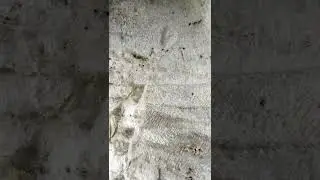 Храм св. Андрея Первозванного, Алфатар. Возрождение скального монастыря