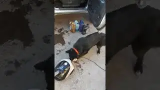 Непонятка