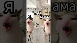 Пов: первое апреля