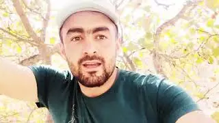 Дараи Пистахо д Гулрез н Точикобод