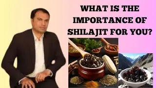 Shilajit Unveiled: Benefits, Safety, and Scientific Evidence