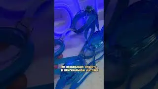 Как хранить очки для плавания