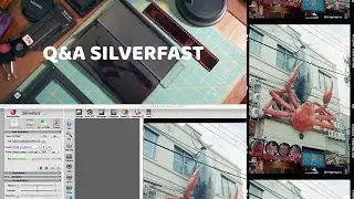 Q&A SilverFast - Scanning with and without tray & more