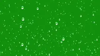 Green Screen Rain Videos
