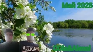 Песня май 2025