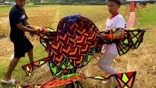 Naga Wisanggeni Lama Tak Keluar Sekali Keluar Terbang Mulus