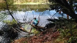 Early Summer Spider Hunt Hemlock Crossing - Episode 2