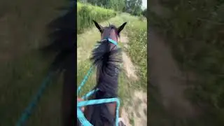lol
