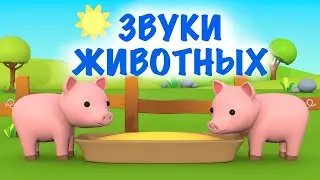 Учим животных 🙉 Как говорят животные - Мультик Звуки животных для самых маленьких