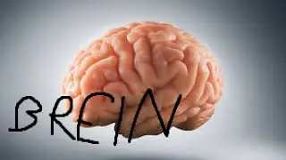 What if we used 100% of our brain Minecraft edition