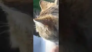 ЖУК КУЖ УЖК КЖУ