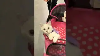 Hiç böyle beklemiyordum