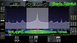 Зять музыкальная пробежка