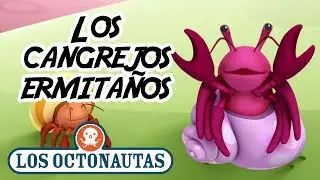Los Octonautas Oficial en Español - Los cangrejos ermitaños | Episodio 12