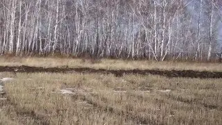 Открытие охоты на зайца