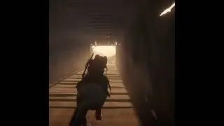 I Can't Believe You Did That (Red Dead Redemption 2 Online) 