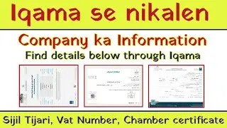 how to find cr number of company and vat number | find companies information through iqama number