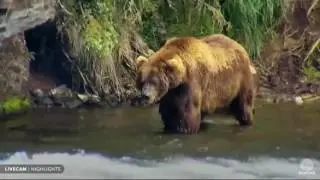Katmai Live Cam Highlights 2015/16