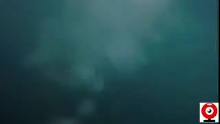 PHILCHANSKY ЛЮБИТ ПОНЫРЯТЬ