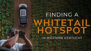 Finding a WHITETAIL HOTSPOT in Western Kentucky!