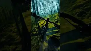 MTB with A.I. 