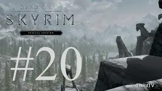 Skyrim SE #20 with Console friendly mods