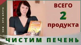 LIVER CLEANSING ACCORDING TO MALAKHOV | Spring is the best time!