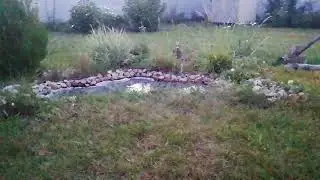 Отдых на природе-это кайф/в мире интересного
