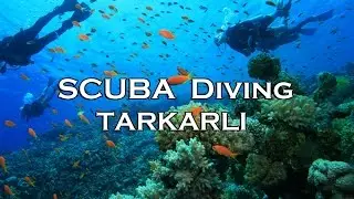 Scuba Diving Near Tarkarli - Malvan Maharashtra India Hindi - Marathi Vlog