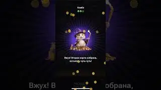 Хамстер Комбат комбо карты 5 июня! Combo Hamster Kombat