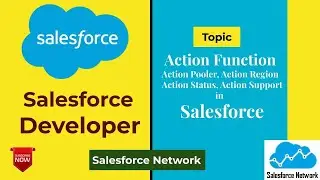 Action Function, Action Pooler, Action Region, Action Status, Action Support in Salesforce