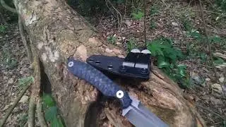 parceria com canal avila