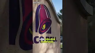 Why Taco Bell Is Successful