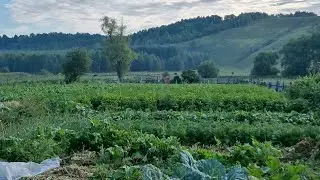 Минем авылым. Мамадыш районы, Иске Чабья авылы. Видеолар истәлеккә төшерелгән ❤️