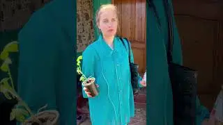 …Поехали к детям в город! Опрос))суп из крапивы варите?Кстати,голбец -это подполье, местный диалект!