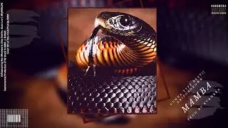 Gunna & DaBaby Type Beat ~ Black Mamba ||Co-Prod By ARVY