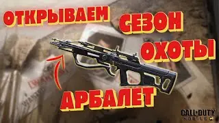 Как подняться на колде?) Новинка-Кибератака+Арбалет в CoD Mobile