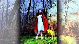 Outdoor Portrait Edit Girl and Cat Photo Manipulation 2021 2022