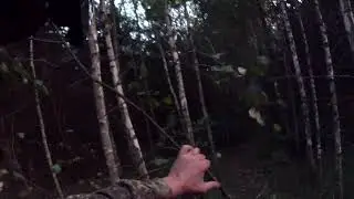 Путь после посещения одного очень тайного места.