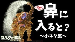 ドイブラン遺跡の全景が見れる！？ルッタの鼻の中に入ると？など小ネタ集【ブレワイ BotW】裏技 バグ 検証 ゆっくり実況 glitch